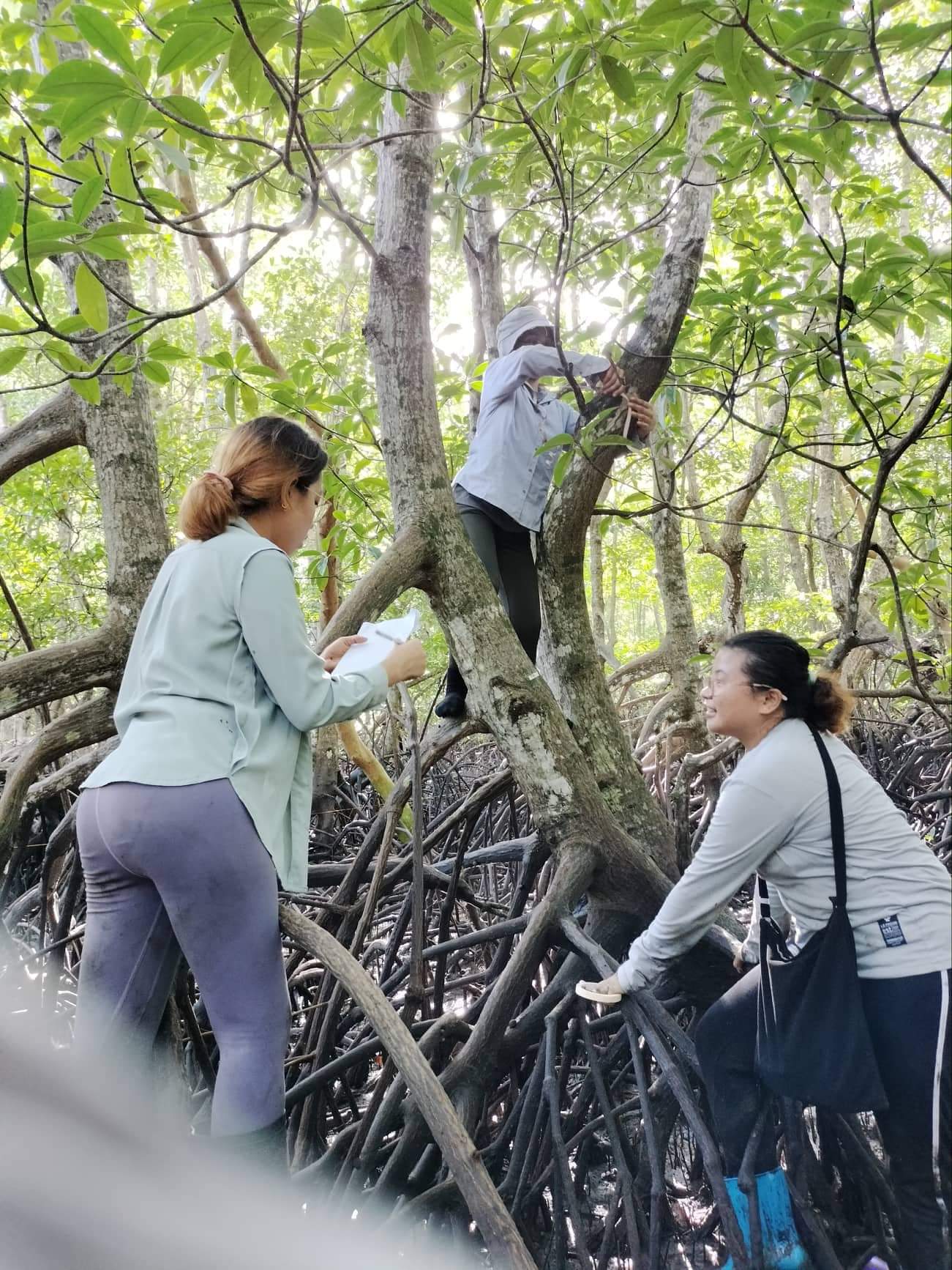 BS ENVIRONMENTAL SCIENCE AND BS BIOLOGY STUDENTS CONDUCTES MANGROVE ECOSYSTEMS ASSESSMENT